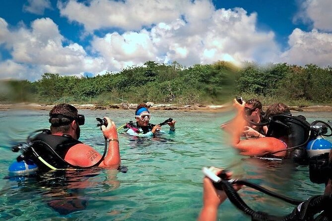 Discover Scuba Diving in Cozumel Paradise Reef - Paradise Shallows first tank: 30 to 45 minutes of reef time
