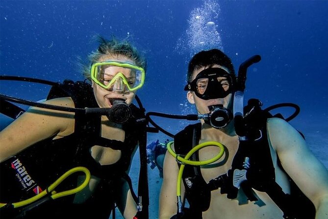 Discover Scuba Diving in Cozumel Paradise Reef - Second reef session at Paradise Reef: 45 to 60 minutes