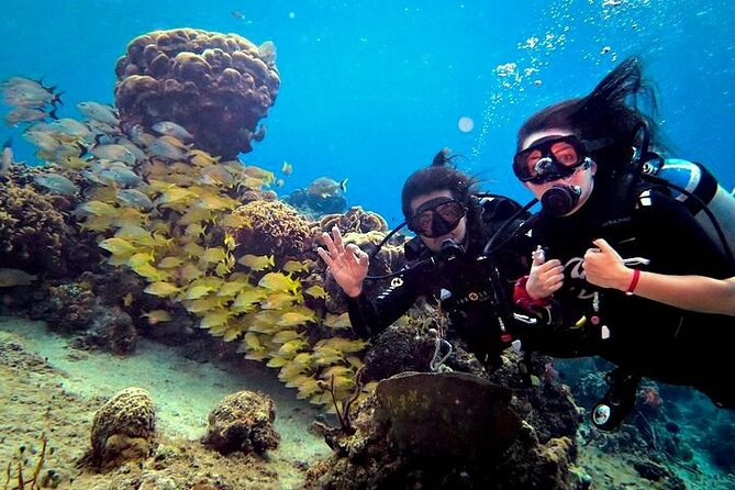 Discover Scuba Diving in Cozumel Paradise Reef - Equipment, weight adjustments, and safety you can feel