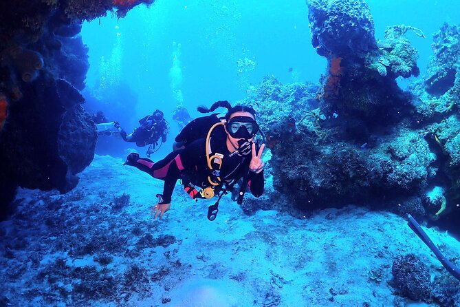 Discover Scuba Diving in Cozumel - Where you meet, and how to plan your arrival
