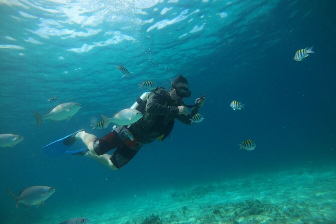 Discovering Diving in Chankanaab Park - Key Highlights Worth Planning Around