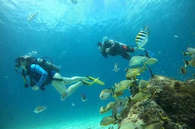 Discovering Diving in Chankanaab Park - From SCUBA to Snorkeling, Then a Full Day in the Park