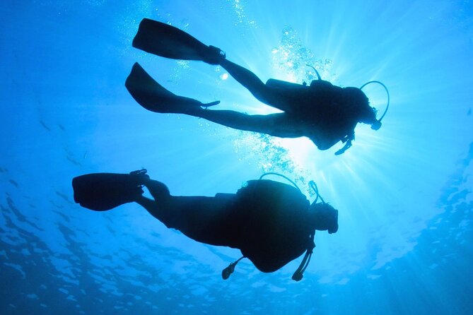 Discovering Diving in Chankanaab Park - Practical Tips for a Smooth Day at Chankanaab