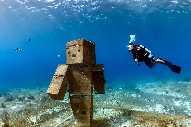 Diving For People Without Experience - Meeting point, timing, and how to plan your day in Cozumel