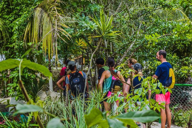 E-Bike Adventure in Cozumel - West Side Ride N' Snorkel - Stop 2: Cenote Aerolito de Paraiso, A Short Fresh-Water Reset