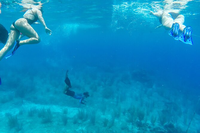 E-bike West Coast Snorkeling Tour - Skyreef Beach Club Cozumel: reef snorkeling plus real downtime