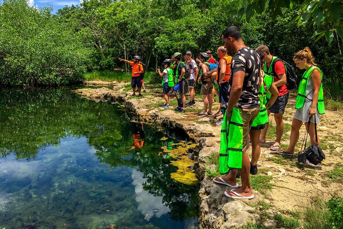 E-bike West Coast Snorkeling Tour - Price and value at $73: what you get, what costs extra, and why it still makes sense