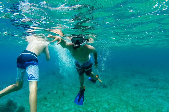 E-bike West Coast Snorkeling Tour - Riding tips for the e-bike part: fit rules, comfort, and keeping the day easy