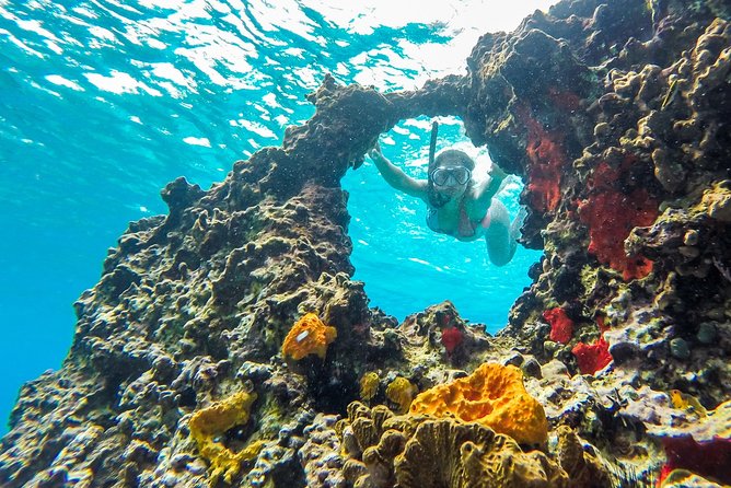 E-bike West Coast Snorkeling Tour - Mayan Botanical Garden: culture between rides (and why it’s worth the stop)