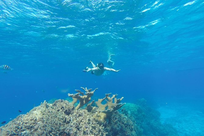 El Cielo and Snorkel Private Excursion - Snorkeling comfort: who this tour suits best