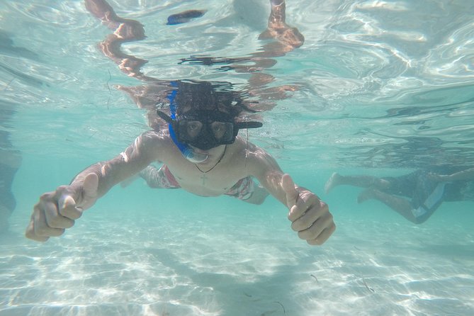 El Cielo and Snorkel Private Excursion - Caleta Harbor logistics, timing, and what to watch for
