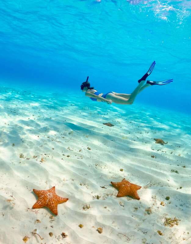El Cielo Cozumel private snorkel tour - A Private 5-Hour Plan to El Cielo and the Mesoamerican Barrier