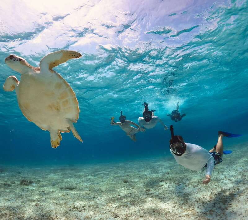 El Cielo Cozumel private snorkel tour - On the Speedboat: Drinks, Food, and a Day You Can Adjust