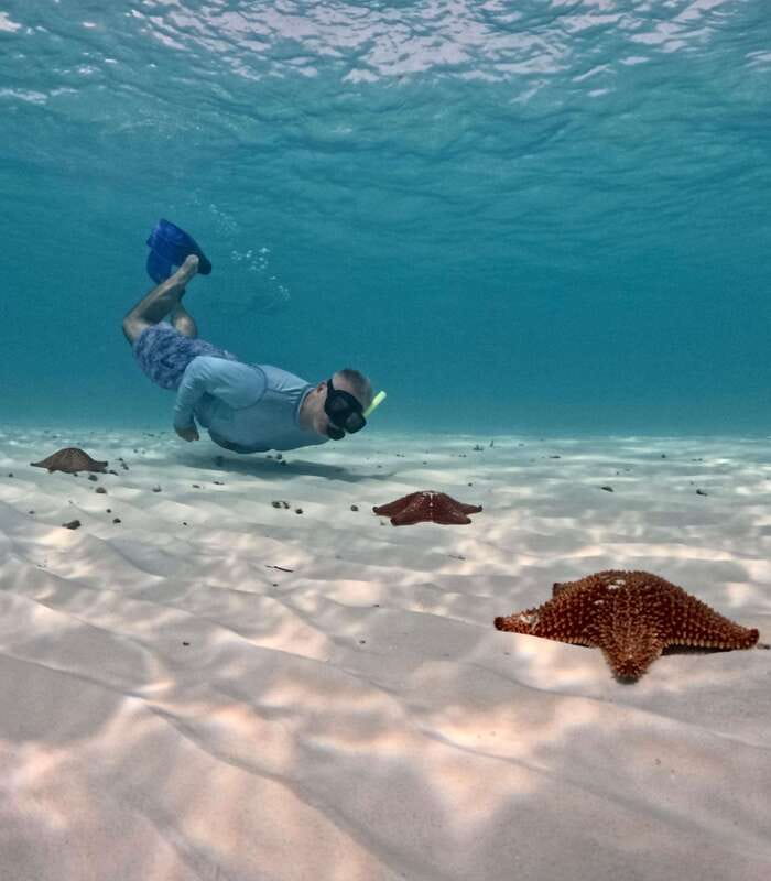 El Cielo Cozumel private snorkel tour - What’s Included vs Not Included, and How the $758 Price Makes Sense