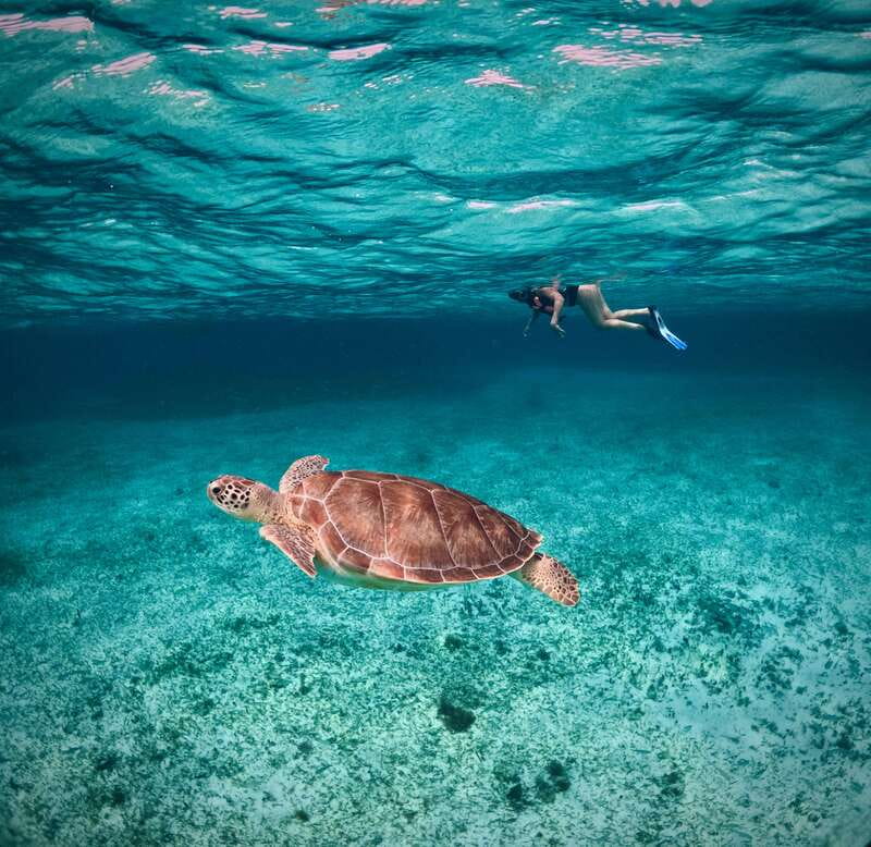 El Cielo Cozumel private snorkel tour - Booking Tips: Shoe Size, Kids Count, and Getting Your Time Right