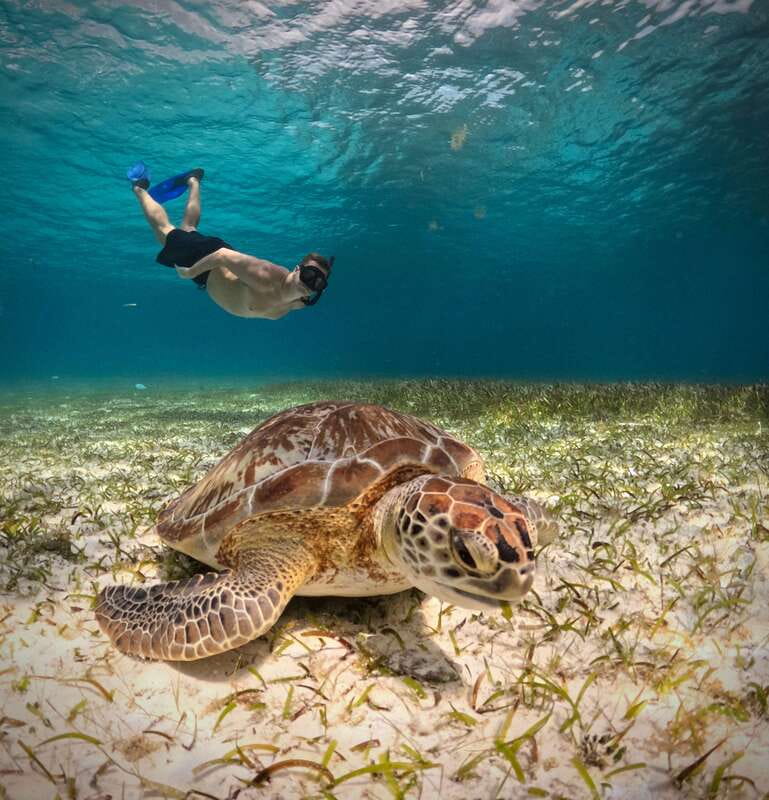 El Cielo Cozumel private snorkel tour - Who This Tour Fits Best (and Who Might Want Another Option)