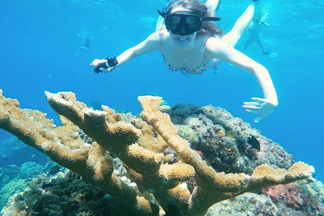 El Cielo Cozumel Snorkel Private Boat + Food + Drinks + Beach - San Francisco Beach Club Start, and Why the Taxi Is Part of the Plan