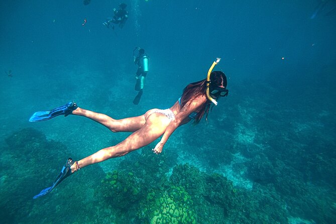 El Cielo Cozumel Snorkel Private Boat + Food + Drinks + Beach - Price and Value for a Group Up to 5