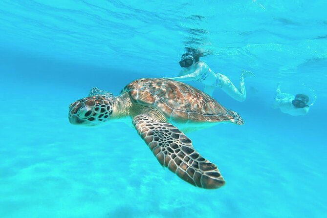 El Cielo Cozumel Snorkel Private Boat + Food + Drinks + Beach - Private Boat Setup: Fast Ride, Snorkel Gear, and Crew Roles