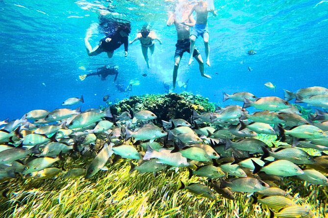 El Cielo Cozumel Snorkel Private Tour Big Group + Food Drinks - San Francisco Beach Club start, private-boat pace, group size reality