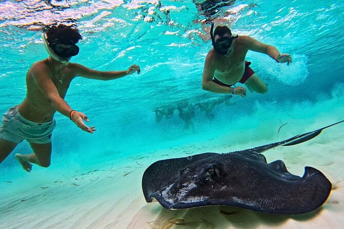 El Cielo Cozumel Snorkel Private Tour Big Group + Food Drinks - The reef pattern on the water: deep snorkeling, starfish shallows, then anchored chilling