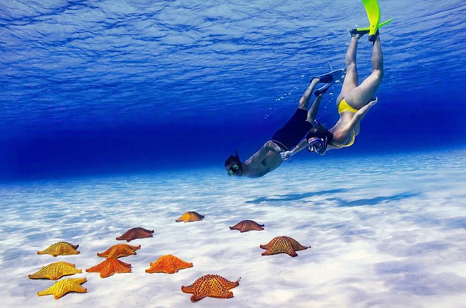 El Cielo Cozumel Snorkel Private Tour Big Group + Food Drinks - Food and drinks: the included menu that makes the day feel complete