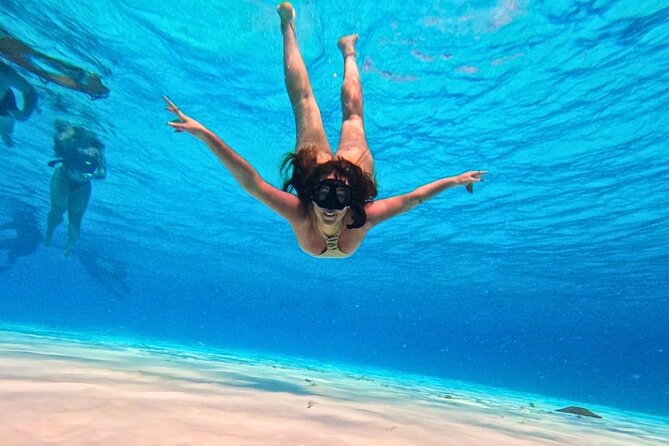 El Cielo Cozumel Snorkel Private Tour Big Group + Food Drinks - Practical tips so your 3 hours feel like more