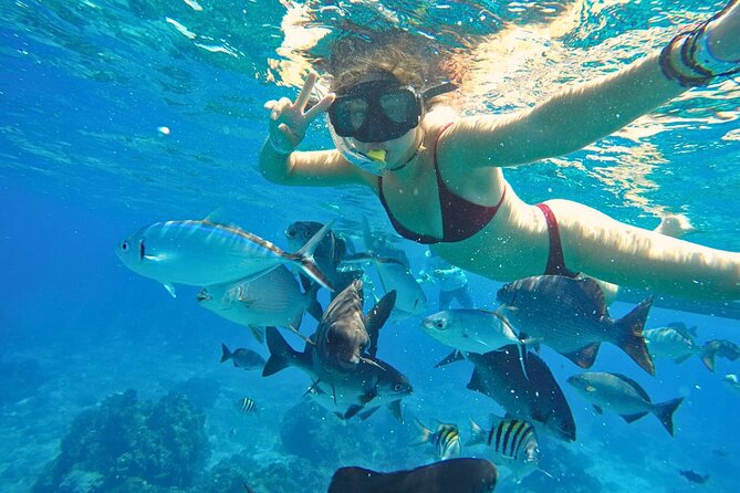 El Cielo Cozumel Snorkel Share Boat + Reefs + Food Drinks + Beach - El Cielo Cozumel: starfish in crystal-clear water