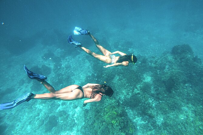 El Cielo Cozumel Snorkel Share Boat + Reefs + Food Drinks + Beach - El Cielito Cozumel: swimming near manta rays