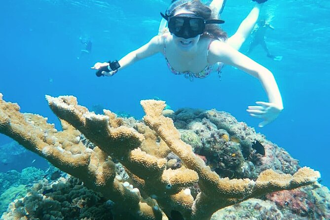 El Cielo Cozumel Snorkel Share Boat + Reefs + Food Drinks + Beach - Snacks and drinks on the water: ceviche, guac, and cold beer