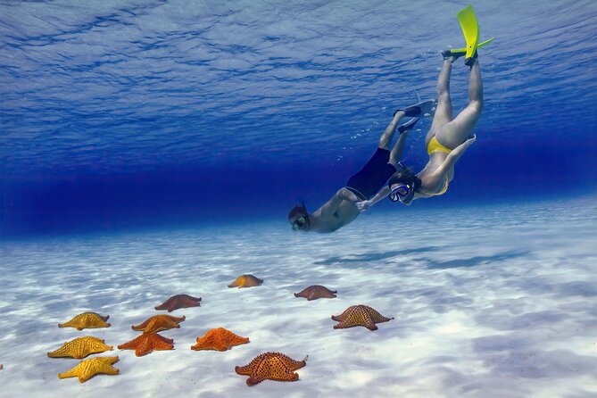 El Cielo Cozumel Snorkel Share Boat + Reefs + Food Drinks + Beach - Boat ride reality: fast, small, and fun, with one comfort note