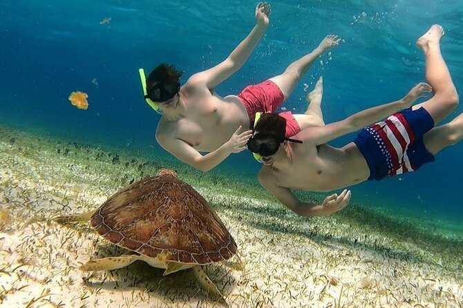 El Cielo Cozumel Snorkel tour by Catamaran - Key highlights worth knowing