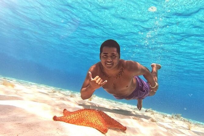 El Cielo Cozumel Snorkel tour by Catamaran - The core experience: reef time that feels well-paced