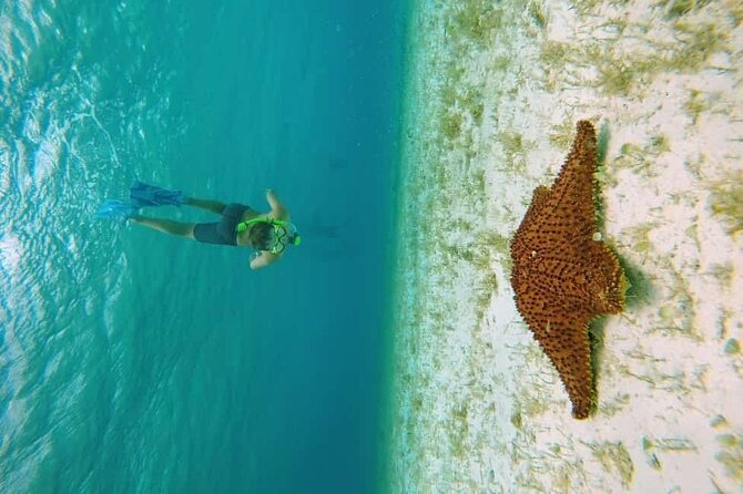 El Cielo Cozumel Snorkel tour by Catamaran - Stop 1: Palancar Reef and what it does for your photos and sightings
