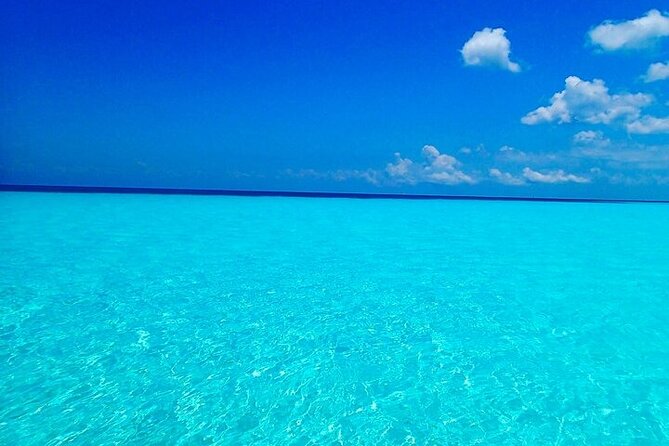 El Cielo Cozumel Snorkeling Tour - All-Inclusive - Timing and group size: where the good experience can turn if you are not prepared