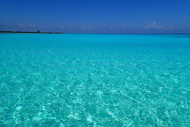 El Cielo Cozumel Snorkeling Tour - All-Inclusive - The reef route: what each stop is likely to deliver