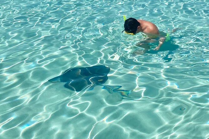 El Cielo Cozumel Snorkeling tour by Private Boat - Price, marine fees, and real value for a private group