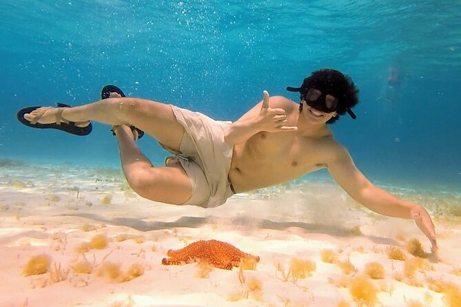 El Cielo Cozumel Snorkeling tour by Private Boat - How rough-water risk affects your day