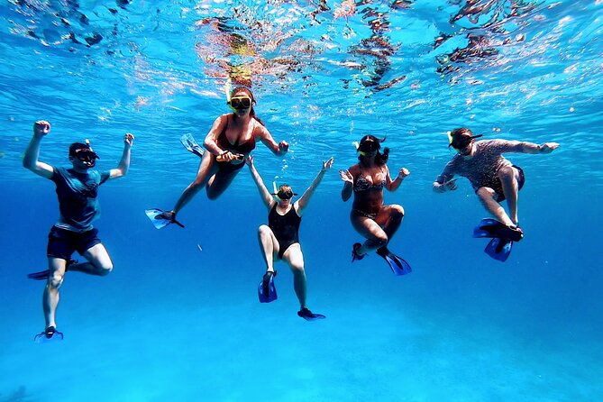 El Cielo Cozumel Snorkeling tour by Private Boat - Should you book El Cielo Cozumel Snorkeling by Private Boat?