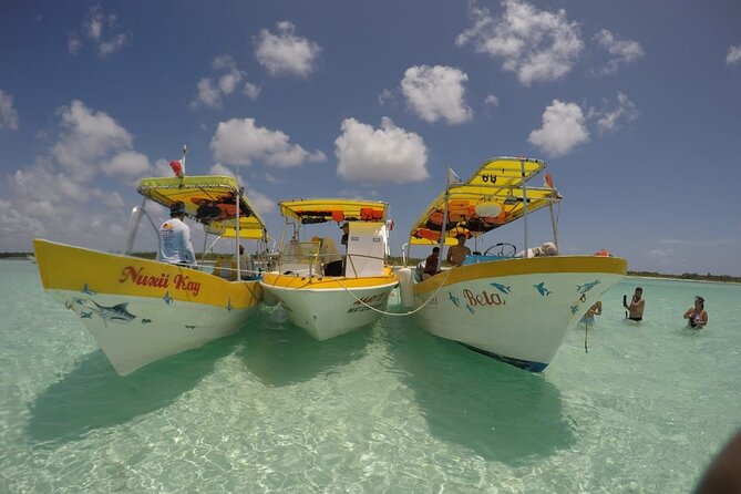 El Cielo Cozumel Snorkeling tour by Private Boat - Stop by stop: what to expect at each location