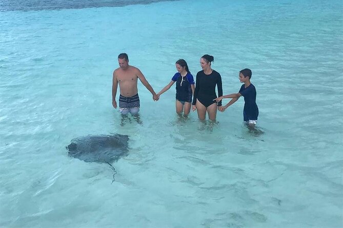El Cielo Cozumel Snorkeling trip by Catamaran - A half-day catamaran built around real reef time