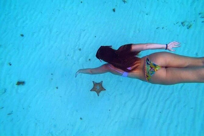 El Cielo Cozumel Snorkeling trip by Catamaran - Marina meeting point and how this trip actually runs