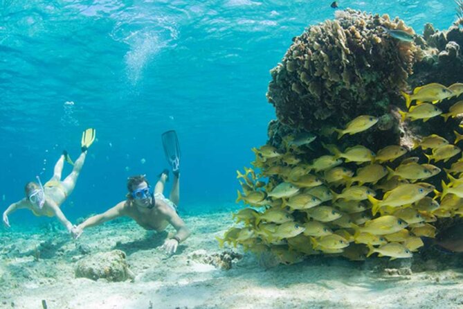 El Cielo Palancar and Columbia Snorkeling Tour - Crew, boat setup, and gear that affects your comfort