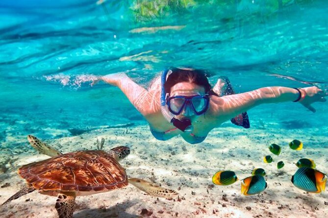 El Cielo Palancar and Columbia Snorkeling Tour - Food and drinks: what’s included and why it’s a big deal