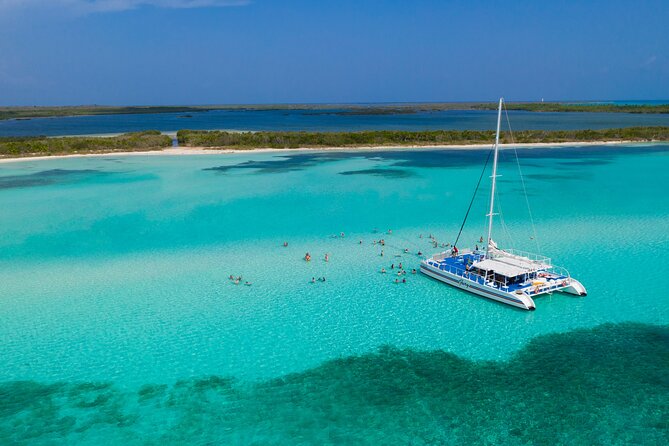 El Cielo, Palancar Snorkel & Beach Party Experience - A 5-Hour Cozumel Combo With Snorkel Plus Beach Party