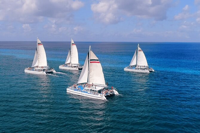 El Cielo, Palancar Snorkel & Beach Party Experience - Lunch, Beer, Margaritas, and the Party Ride Back