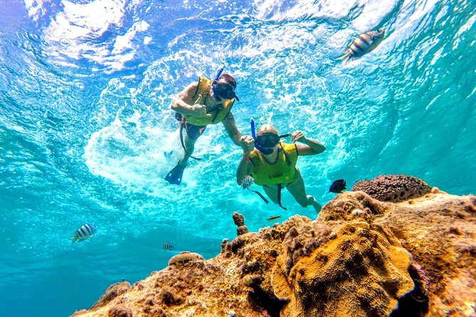 El Cielo Snorkel by Private Boat - Paraiso Reef stop: where you hope the big moments happen