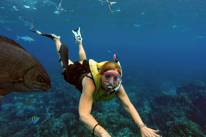 El Cielo Snorkel by Private Boat - Crew and guides: names you might meet, and why it matters