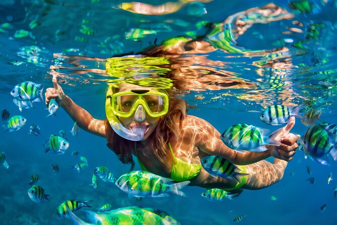 El Cielo Snorkeling Adventure in Cozumel - Key things to know before you book
