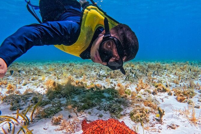 El Cielo Snorkeling Adventure in Cozumel - The big picture: four snorkel stops in one smooth plan